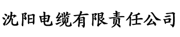 包玉婷工地乞丐电缆厂logo